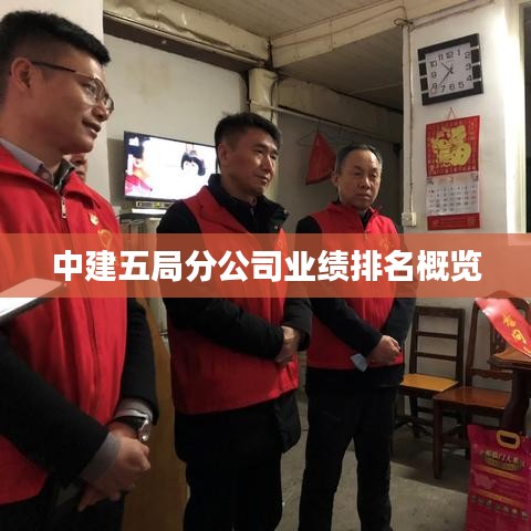 中建五局分公司業(yè)績(jī)排名概覽