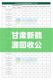 甘肅新能源回收公司排名揭曉，權威榜單，不容錯過！