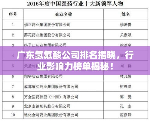 廣東氫氟酸公司排名揭曉，行業(yè)影響力榜單揭秘！