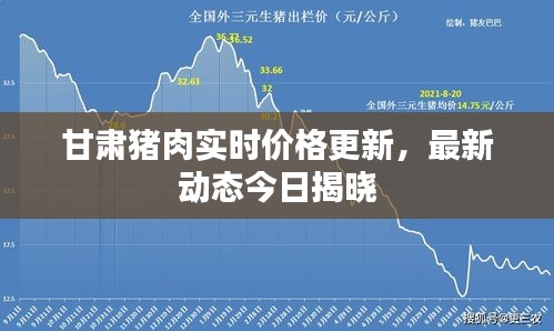 甘肅豬肉實時價格更新，最新動態今日揭曉