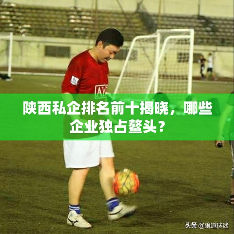 陜西私企排名前十揭曉，哪些企業獨占鰲頭？