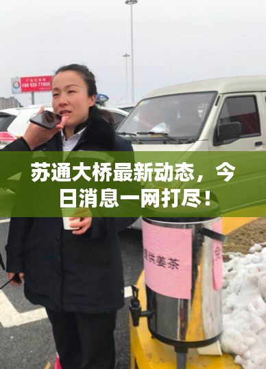 蘇通大橋最新動態，今日消息一網打盡！