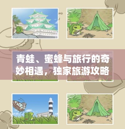 青蛙、蜜蜂與旅行的奇妙相遇，獨家旅游攻略分享