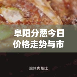 阜陽分蔥今日價(jià)格走勢與市場深度解析