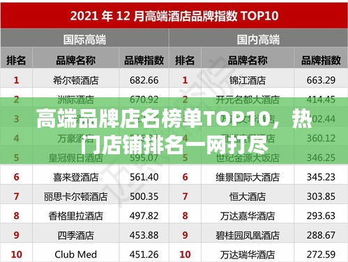 高端品牌店名榜單TOP10，熱門(mén)店鋪排名一網(wǎng)打盡
