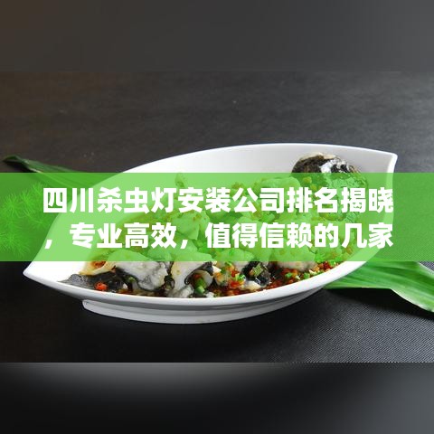 四川殺蟲(chóng)燈安裝公司排名揭曉，專(zhuān)業(yè)高效，值得信賴(lài)的幾家企業(yè)