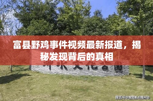 富縣野雞事件視頻最新報道，揭秘發現背后的真相