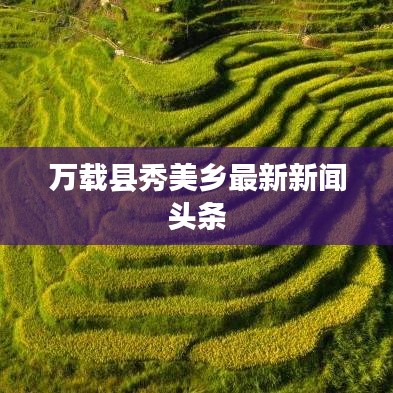 萬載縣秀美鄉最新新聞頭條