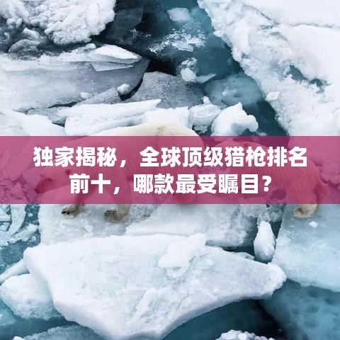 獨家揭秘，全球頂級獵槍排名前十，哪款最受矚目？