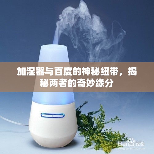 加濕器與百度的神秘紐帶，揭秘兩者的奇妙緣分