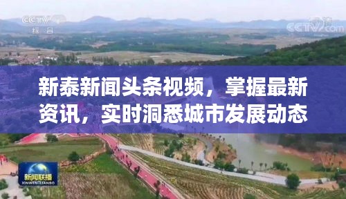 新泰新聞頭條視頻，掌握最新資訊，實時洞悉城市發展動態