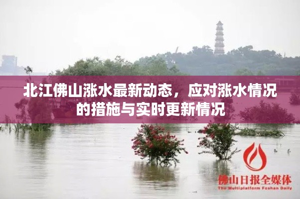 北江佛山漲水最新動態，應對漲水情況的措施與實時更新情況