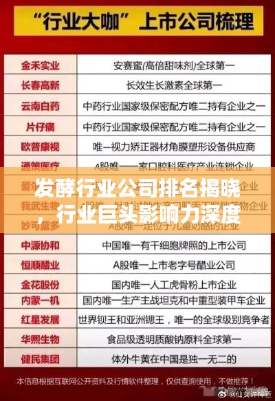 發酵行業公司排名揭曉，行業巨頭影響力深度解析