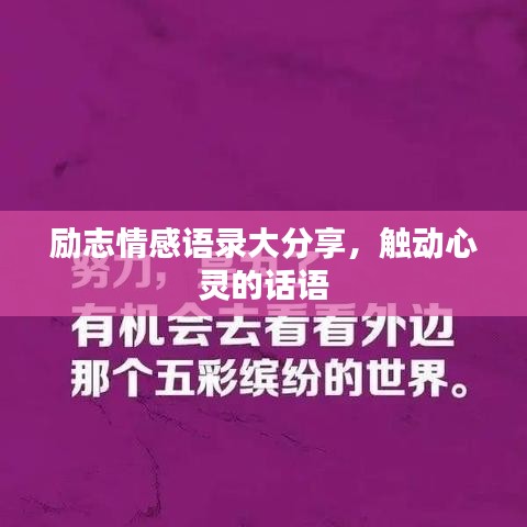 勵(lì)志情感語(yǔ)錄大分享，觸動(dòng)心靈的話語(yǔ)