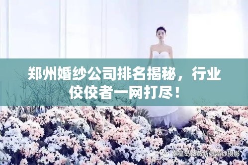 鄭州婚紗公司排名揭秘，行業佼佼者一網打盡！