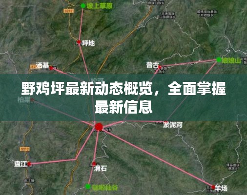 野雞坪最新動態概覽，全面掌握最新信息