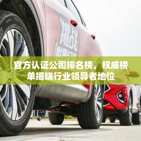 官方認證公司排名榜，權(quán)威榜單揭曉行業(yè)領(lǐng)導者地位