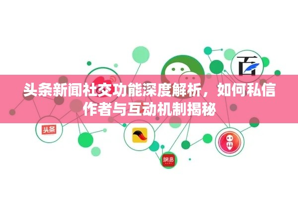 頭條新聞社交功能深度解析，如何私信作者與互動機制揭秘