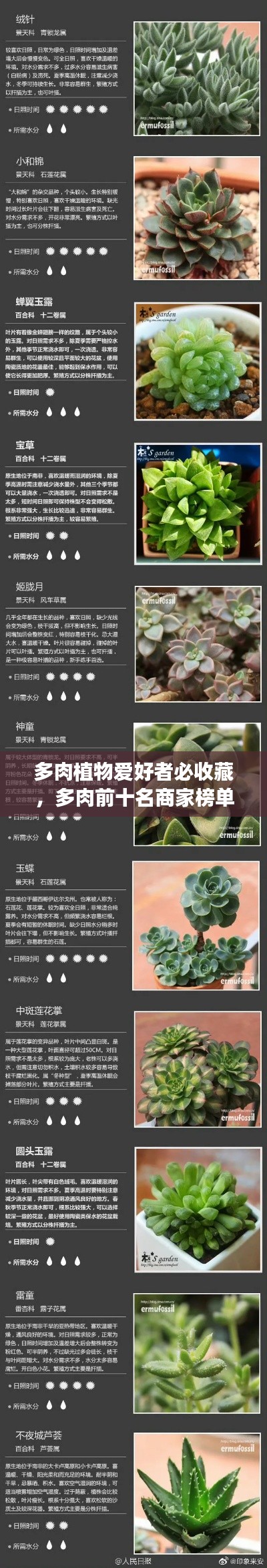 多肉植物愛好者必收藏，多肉前十名商家榜單揭秘！