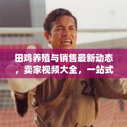 田雞養殖與銷售最新動態，賣家視頻大全，一站式全面了解