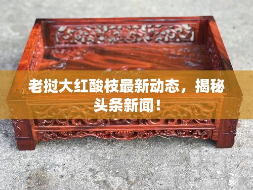 老撾大紅酸枝最新動態，揭秘頭條新聞！