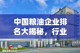 中國(guó)糧油企業(yè)排名大揭秘，行業(yè)領(lǐng)軍者一覽無(wú)余