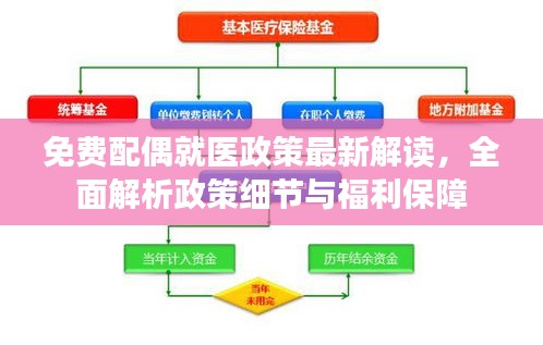 免費配偶就醫政策最新解讀，全面解析政策細節與福利保障