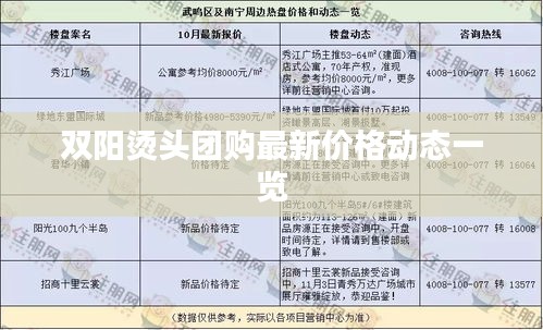 雙陽燙頭團購最新價格動態一覽