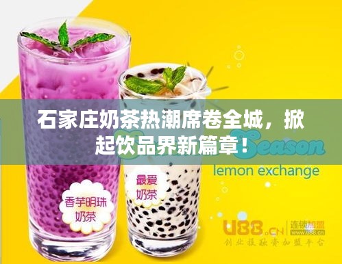 石家莊奶茶熱潮席卷全城，掀起飲品界新篇章！