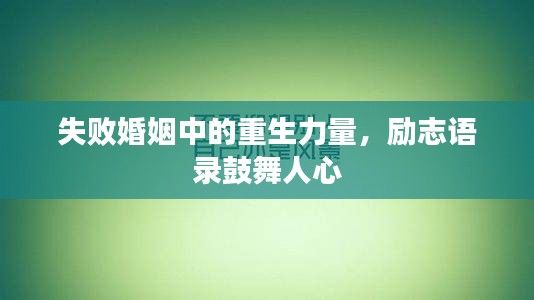 失敗婚姻中的重生力量，勵(lì)志語錄鼓舞人心