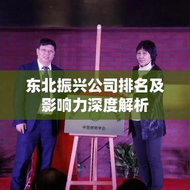 東北振興公司排名及影響力深度解析