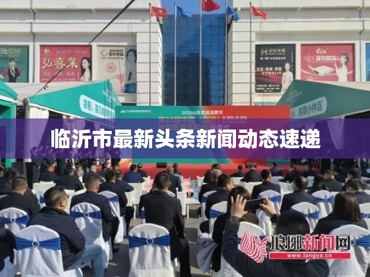 臨沂市最新頭條新聞動態速遞