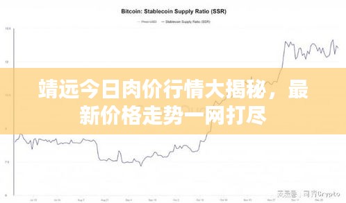 靖遠今日肉價行情大揭秘，最新價格走勢一網打盡