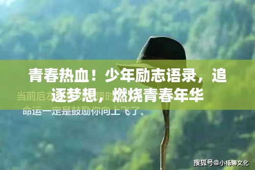 青春熱血！少年勵志語錄，追逐夢想，燃燒青春年華