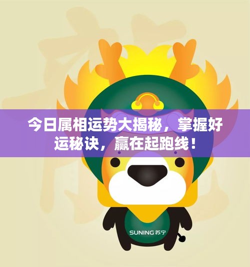 今日屬相運(yùn)勢(shì)大揭秘，掌握好運(yùn)秘訣，贏在起跑線(xiàn)！