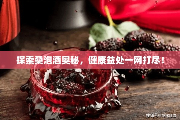 探索桑泡酒奧秘，健康益處一網打盡！