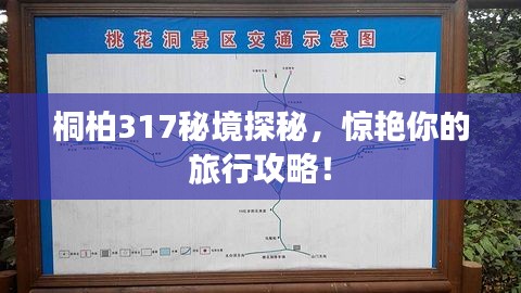 桐柏317秘境探秘，驚艷你的旅行攻略！