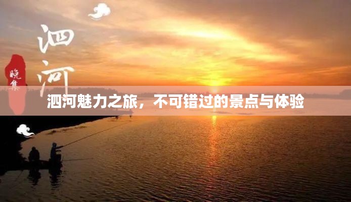 泗河魅力之旅，不可錯過的景點與體驗