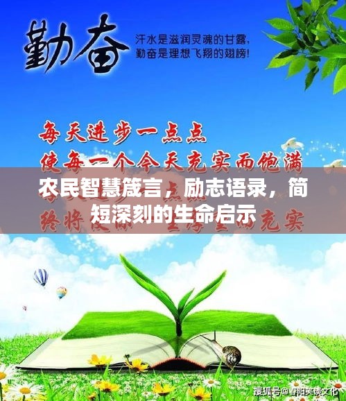 農民智慧箴言，勵志語錄，簡短深刻的生命啟示