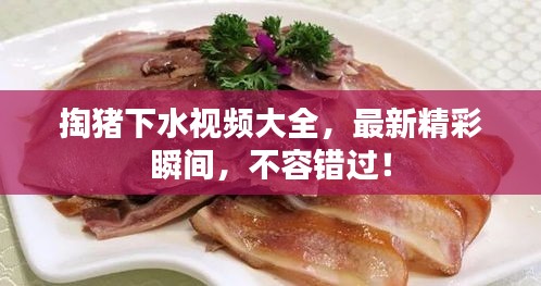 掏豬下水視頻大全，最新精彩瞬間，不容錯過！