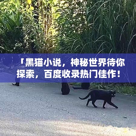 「黑貓小說，神秘世界待你探索，百度收錄熱門佳作！」