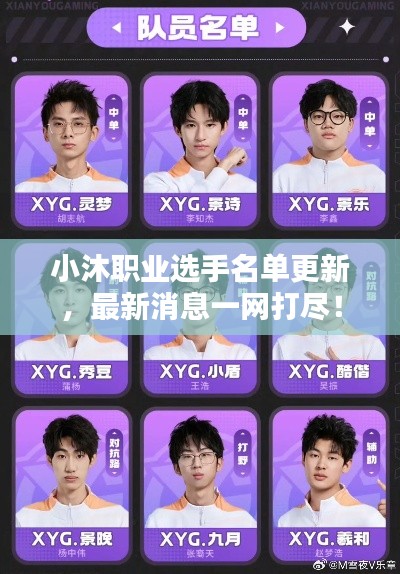 小沐職業選手名單更新，最新消息一網打盡！