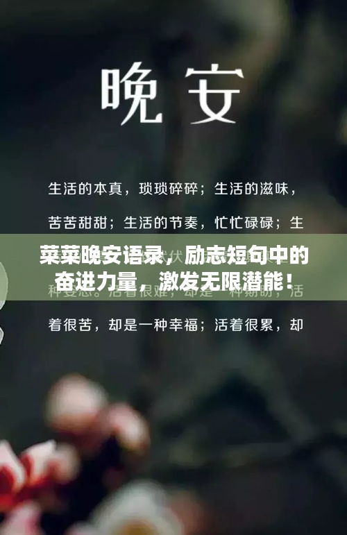菜菜晚安語錄，勵(lì)志短句中的奮進(jìn)力量，激發(fā)無限潛能！