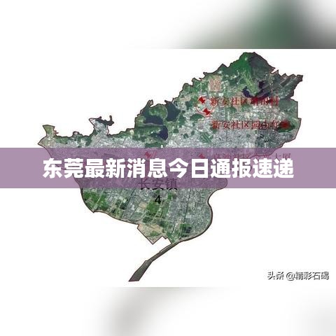 東莞最新消息今日通報(bào)速遞