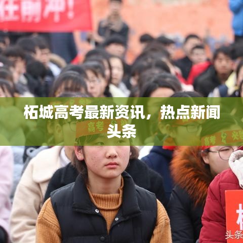 柘城高考最新資訊，熱點(diǎn)新聞頭條
