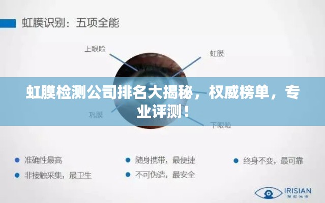 虹膜檢測公司排名大揭秘，權威榜單，專業評測！