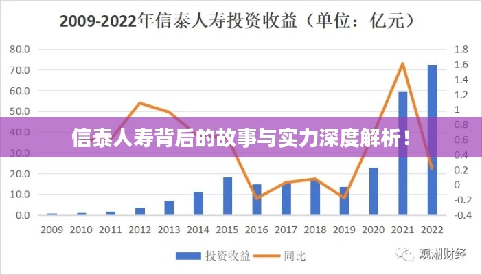 信泰人壽背后的故事與實力深度解析！
