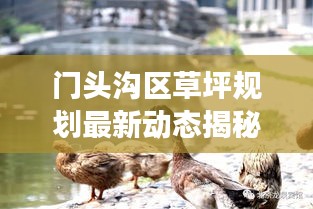 門頭溝區(qū)草坪規(guī)劃最新動(dòng)態(tài)揭秘，國內(nèi)草坪規(guī)劃趨勢與展望
