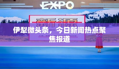 伊犁微頭條，今日新聞熱點聚焦報道