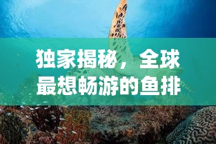 獨家揭秘，全球最想暢游的魚排名榜！